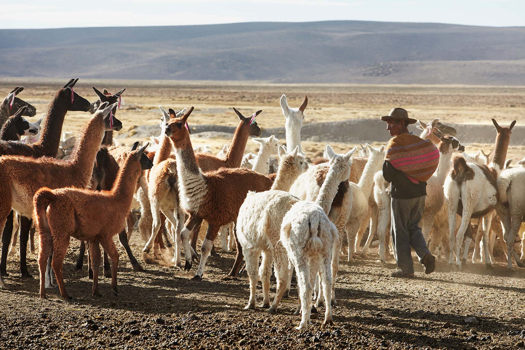 Colca, Peru
