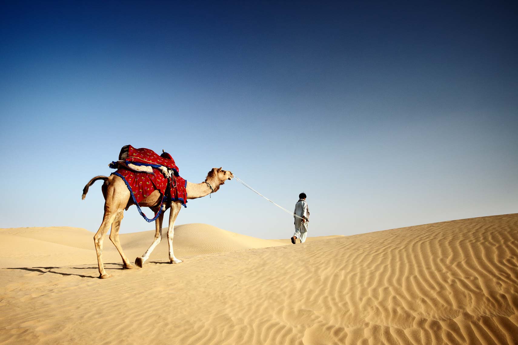 Thar Desert, Rajasthan, India